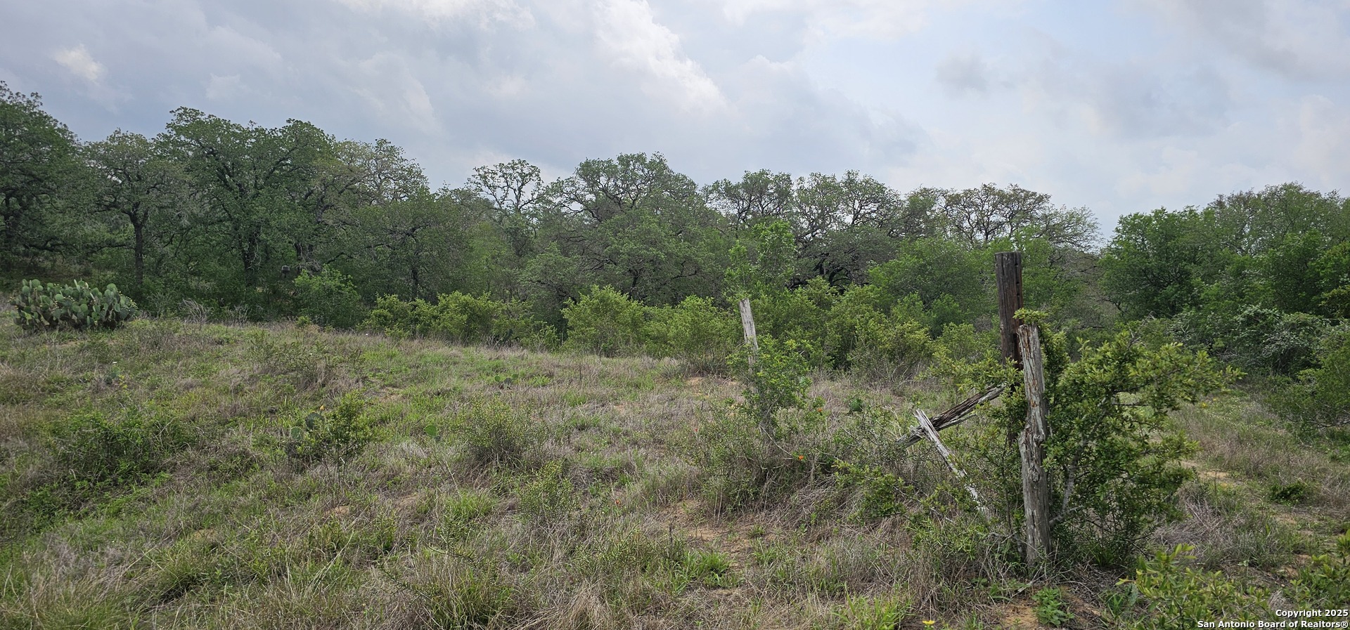 0 Stacey Poteet, TX 78065 - Photo 8 of 44