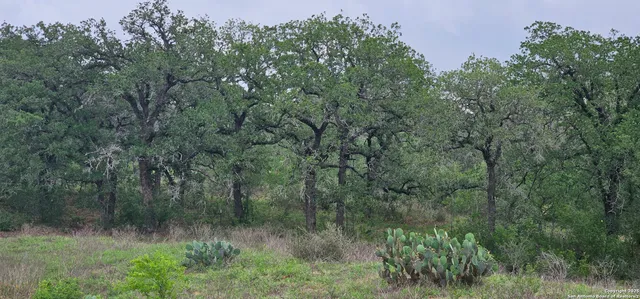 $165,000 | 0 Stacey, Poteet, TX 78065