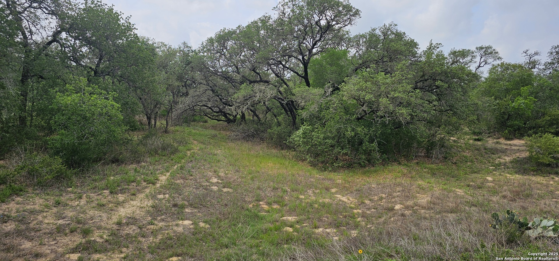 0 Stacey Poteet, TX 78065 - Photo 10 of 44