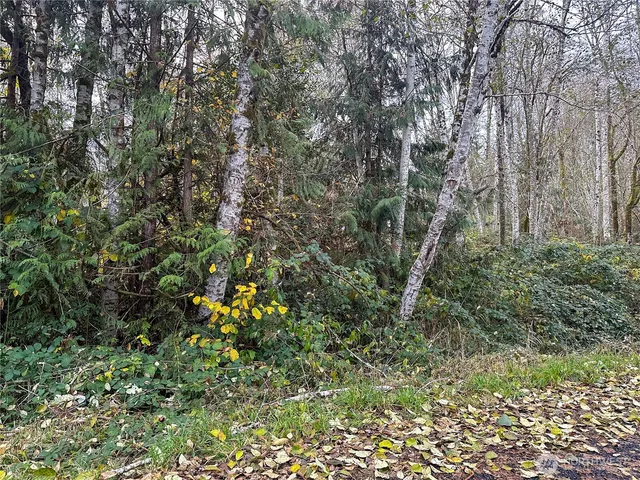 an aerial view of a house with a yard and lake view