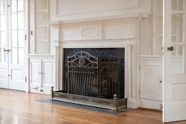 a close view of shrubs