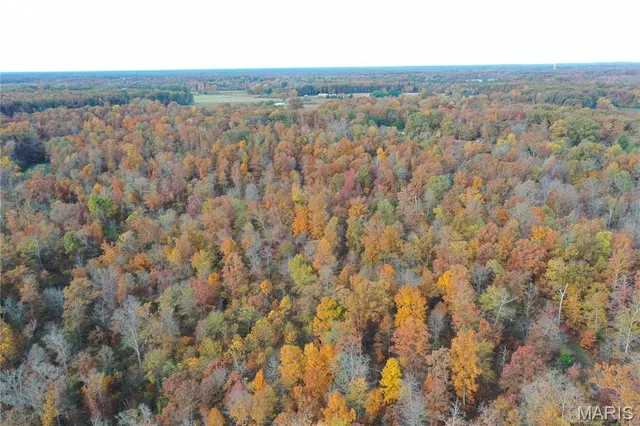 $119,000 | 5 Bobwhite Lane, Fairdealing, MO 63939