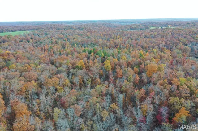 $119,000 | 5 Bobwhite Lane, Fairdealing, MO 63939