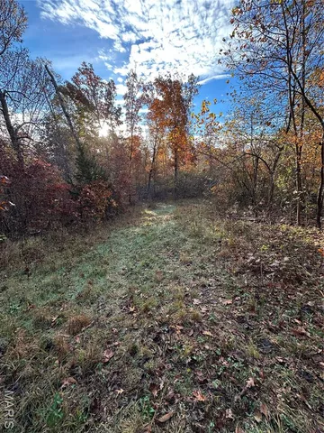 $119,000 | 5 Bobwhite Lane, Fairdealing, MO 63939