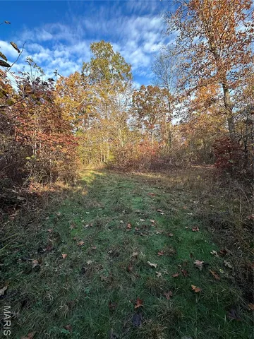 $119,000 | 5 Bobwhite Lane, Fairdealing, MO 63939