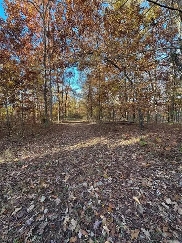 $119,000 | 5 Bobwhite Lane, Fairdealing, MO 63939