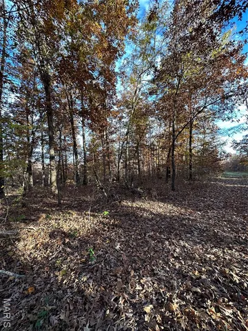 $119,000 | 5 Bobwhite Lane, Fairdealing, MO 63939