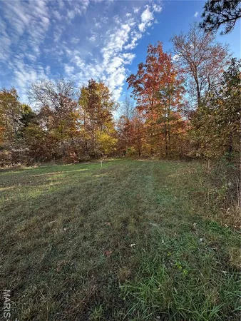 $119,000 | 5 Bobwhite Lane, Fairdealing, MO 63939