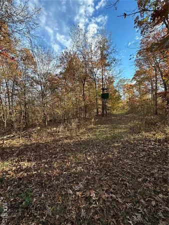 $119,000 | 5 Bobwhite Lane, Fairdealing, MO 63939