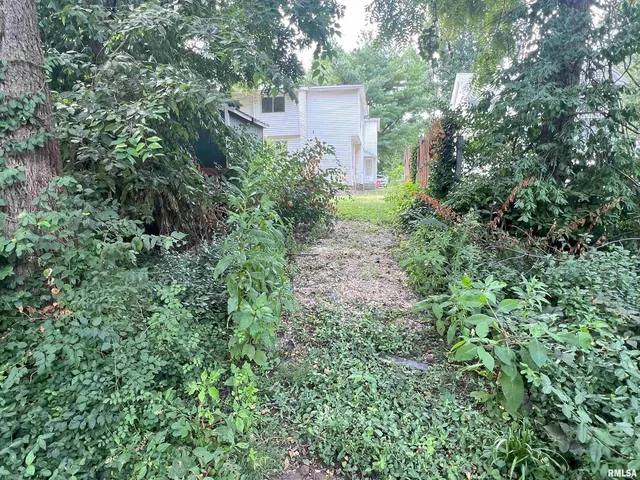 $50,000 | 232 Westminster Street, Jacksonville, IL 62650