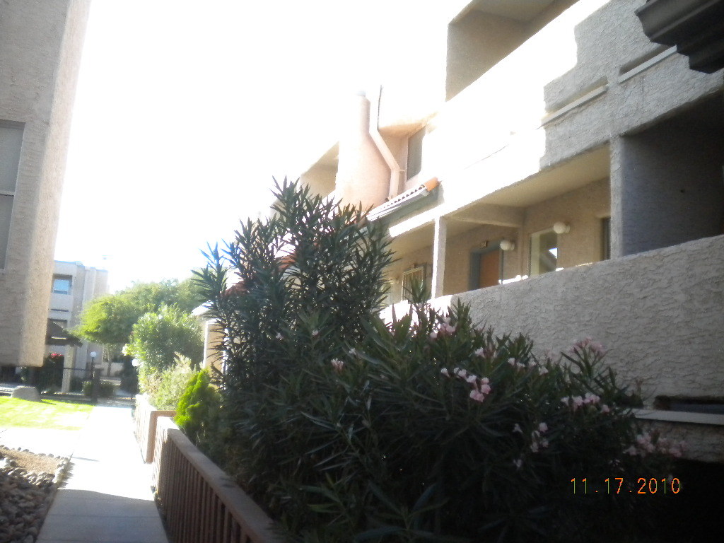 1645 West Baseline Road, Unit 2014 Mesa, AZ 85202 - Photo 1 of 4 Great condo community