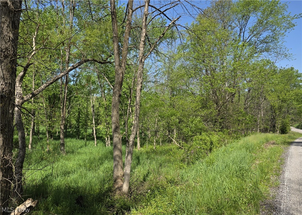 6820 Crane Run Road Cumberland, OH 43732 - Photo 3 of 17 Road Frontage