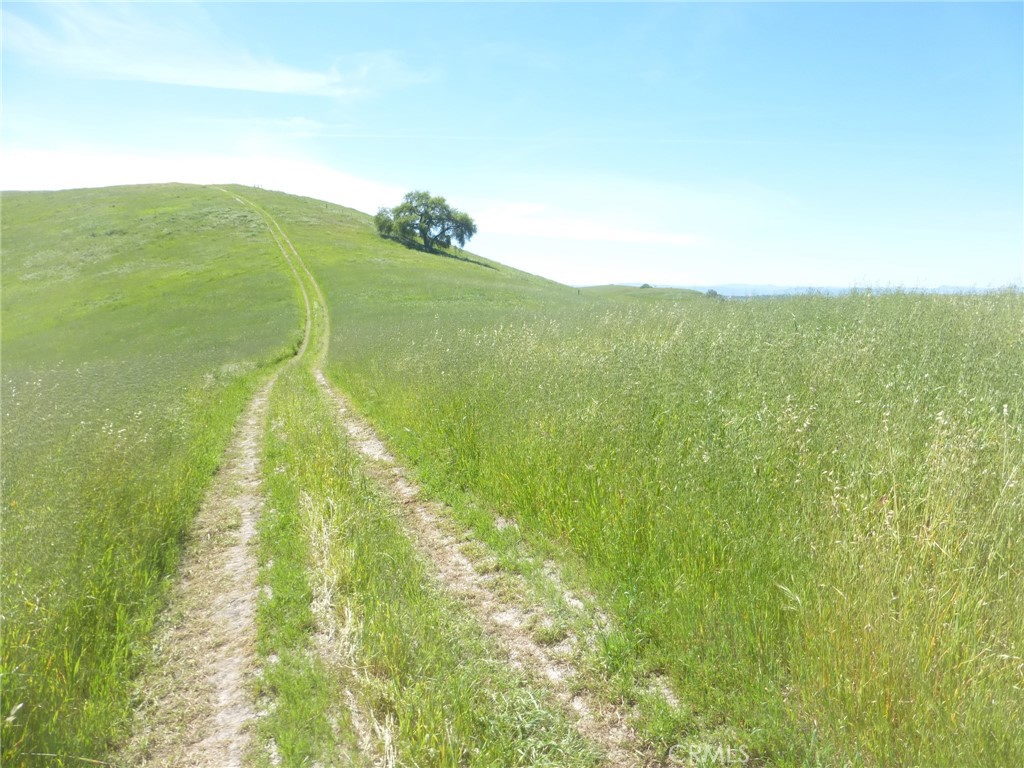 0 Douglas Road San Miguel, CA 93451 - Photo 12 of 44 a view of a field with an ocean