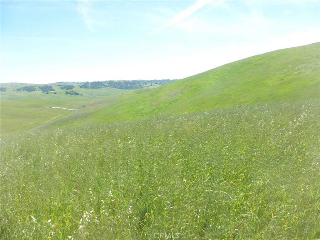0 Douglas Road San Miguel, CA 93451 - Photo 13 of 44 a view of a field with an ocean view