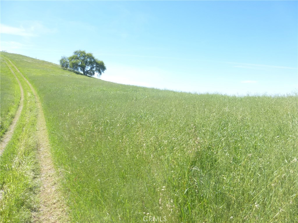 0 Douglas Road San Miguel, CA 93451 - Photo 22 of 44 a view of a field with an outdoor space
