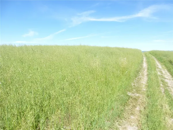 $95,000 | 0 Douglas Road, San Miguel, CA 93451