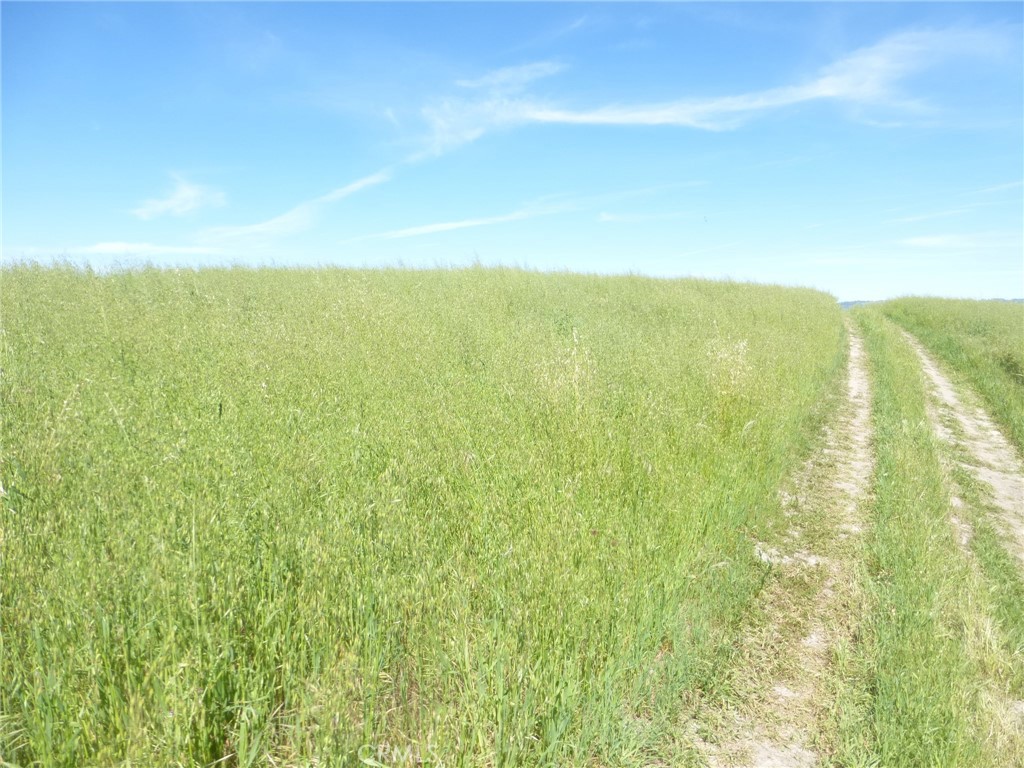 0 Douglas Road San Miguel, CA 93451 - Photo 26 of 44 a view of an ocean