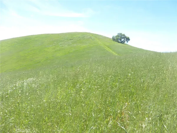 $95,000 | 0 Douglas Road, San Miguel, CA 93451