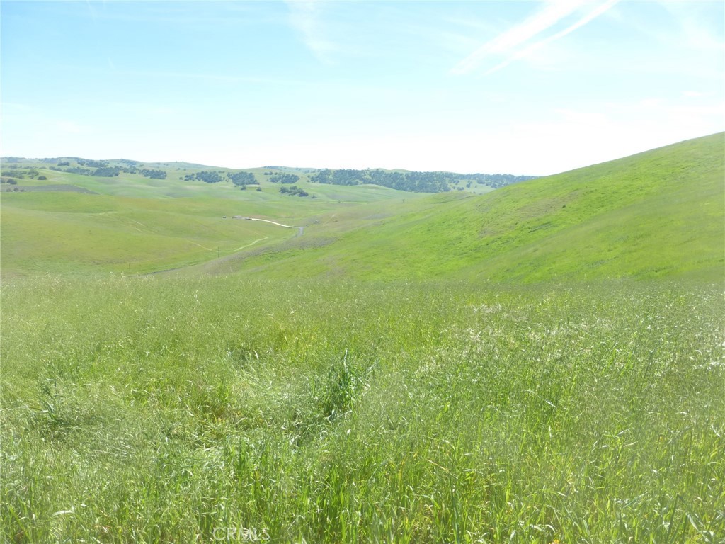 0 Douglas Road San Miguel, CA 93451 - Photo 28 of 44 a view of a field with an ocean