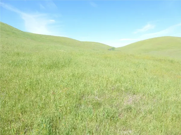 $95,000 | 0 Douglas Road, San Miguel, CA 93451