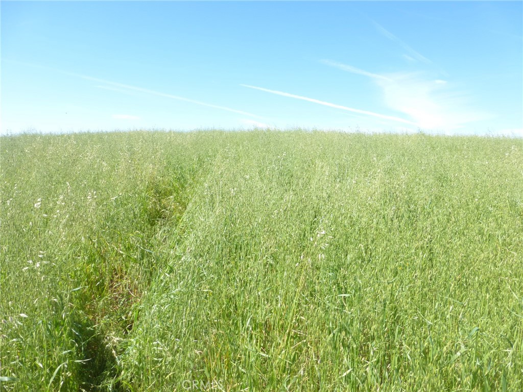 0 Douglas Road San Miguel, CA 93451 - Photo 32 of 44 a view of a field with a city view
