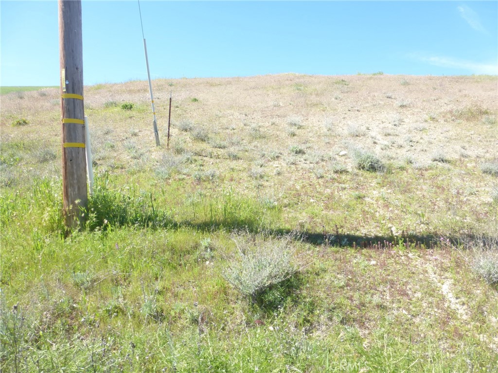 0 Douglas Road San Miguel, CA 93451 - Photo 33 of 44