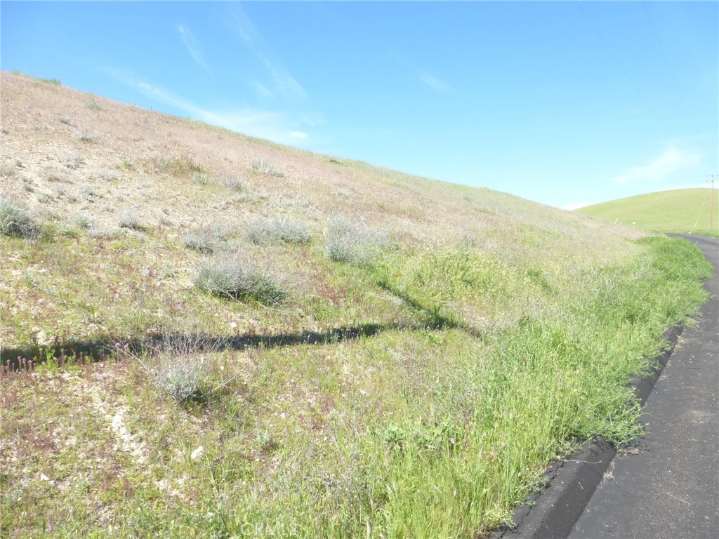 0 Douglas Road San Miguel, CA 93451 - Photo 34 of 44 a view of a large mountain with mountains in the background