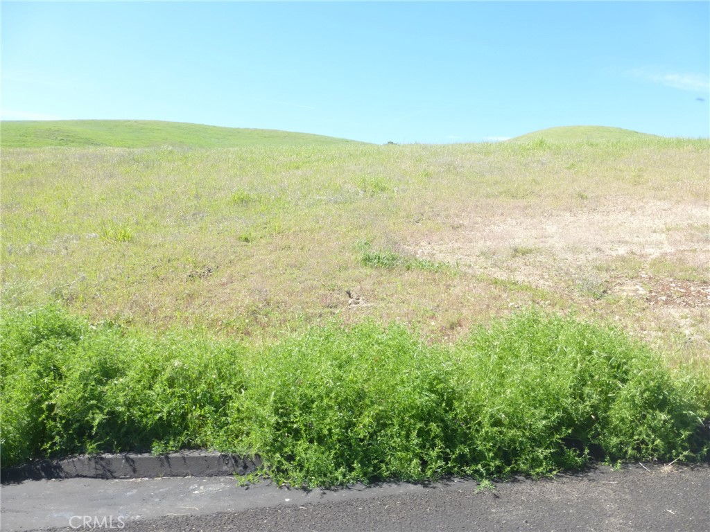 0 Douglas Road San Miguel, CA 93451 - Photo 35 of 44 a view of an ocean