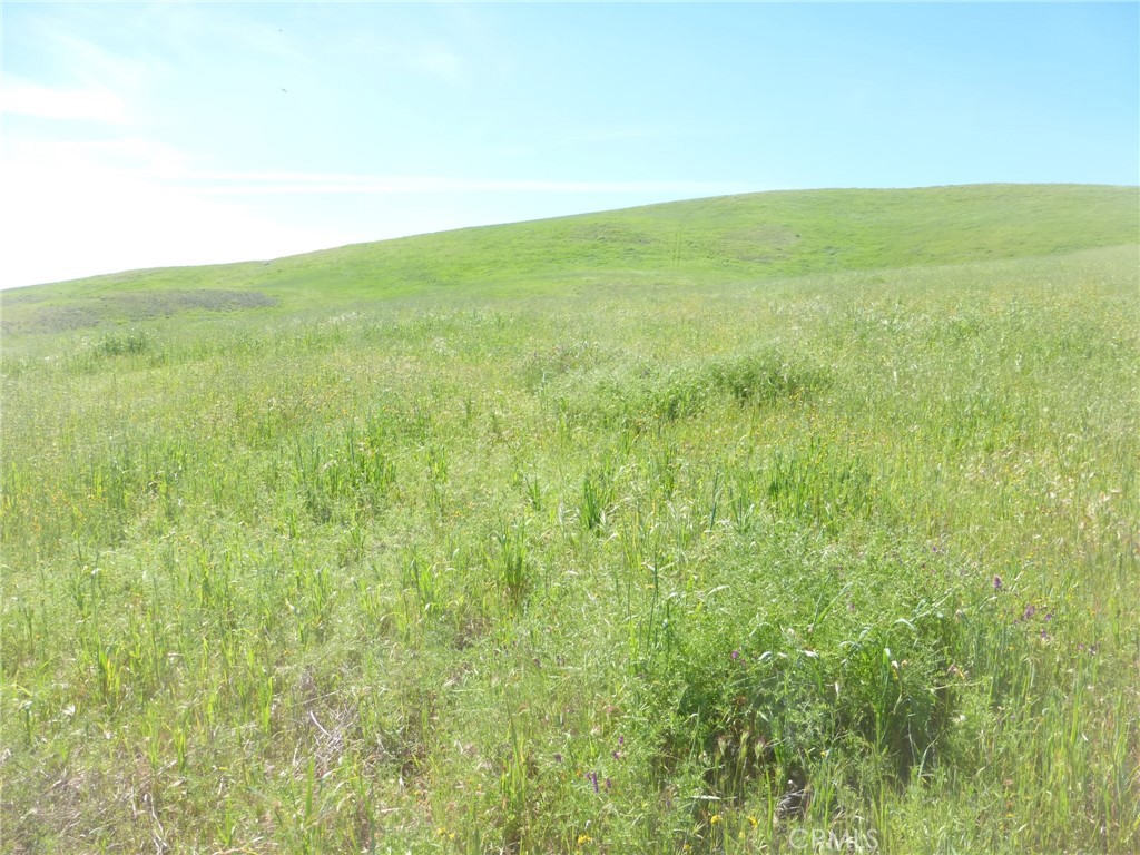 0 Douglas Road San Miguel, CA 93451 - Photo 39 of 44 a view of yard with an ocean
