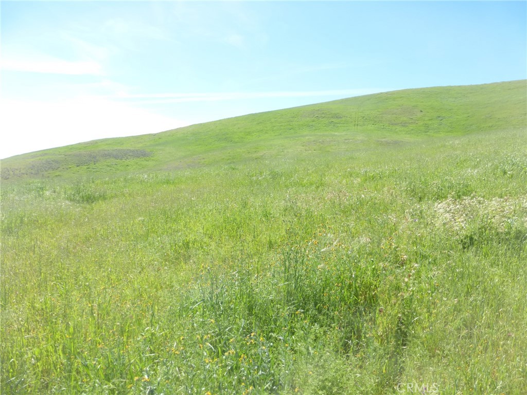0 Douglas Road San Miguel, CA 93451 - Photo 42 of 44 a view of yard with an ocean