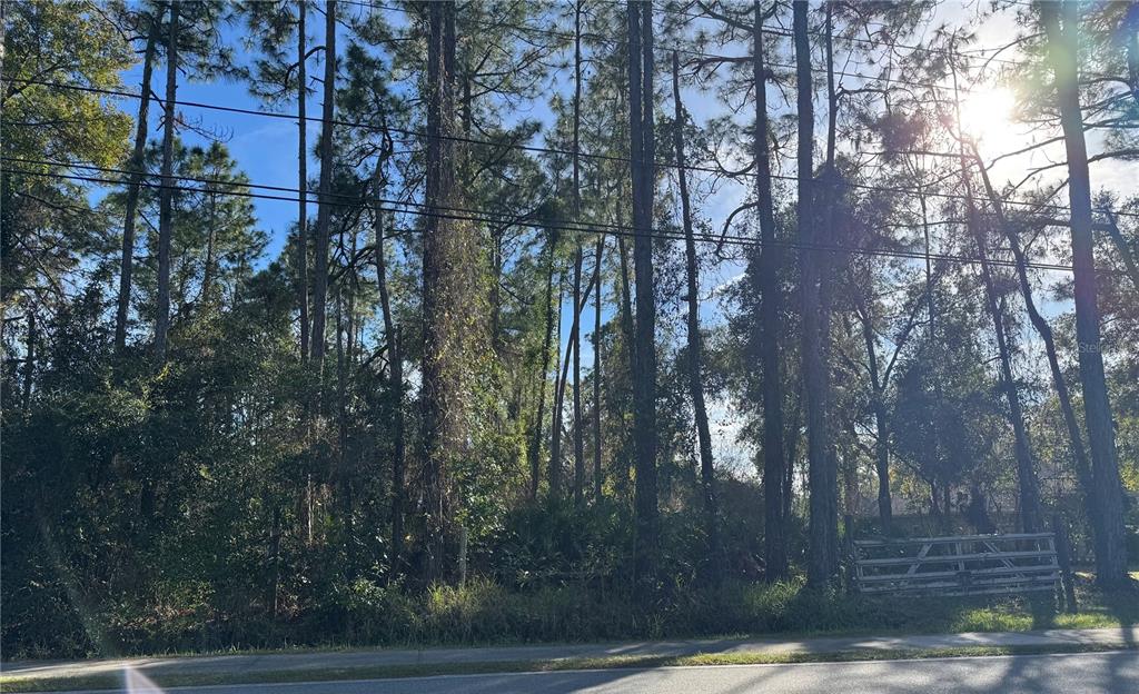 345 West Highbanks Road DeBary, FL 32713 - Photo 1 of 1 Gallery Image 1