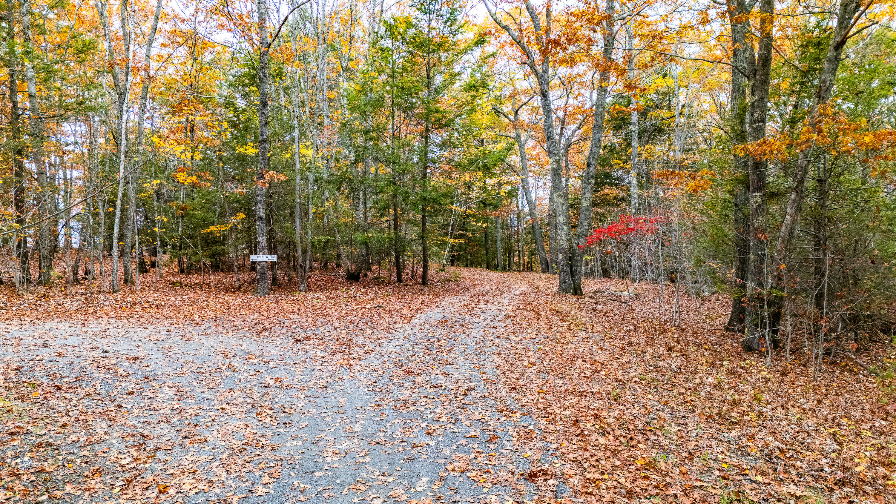 Lot#4 Bay View Trail Edgecomb, ME 04556 - Photo 13 of 48