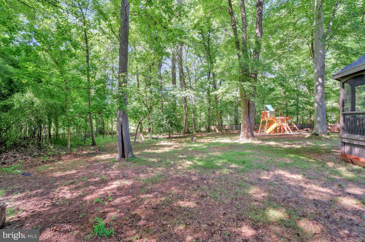 502 Seneca Knoll Court Great Falls, VA 22066 - Photo 52 of 56 a view of a yard with a tree