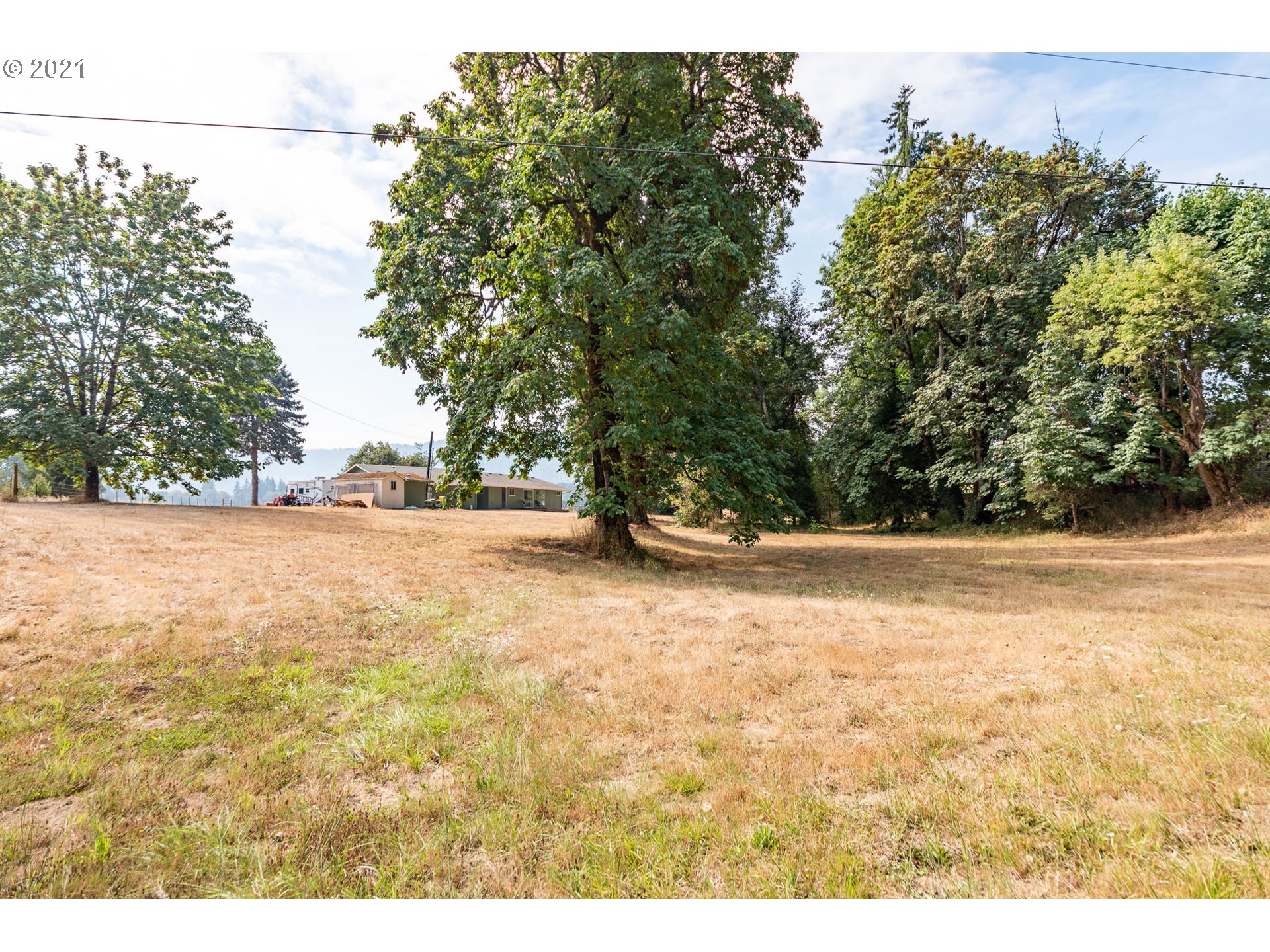 37931 M J Chase Road Springfield, OR 97478 - Photo 27 of 32 a view of yard with tree