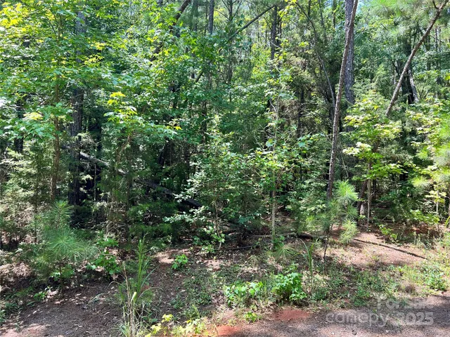 $157,000 | Lot 7 Highway 215, Unit SOUTH, Jenkinsville, SC 29065