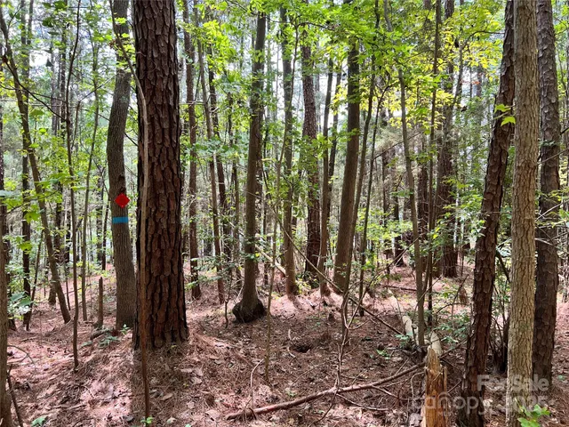 $157,000 | Lot 7 Highway 215, Unit SOUTH, Jenkinsville, SC 29065