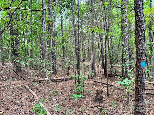 $157,000 | Lot 7 Highway 215, Unit SOUTH, Jenkinsville, SC 29065