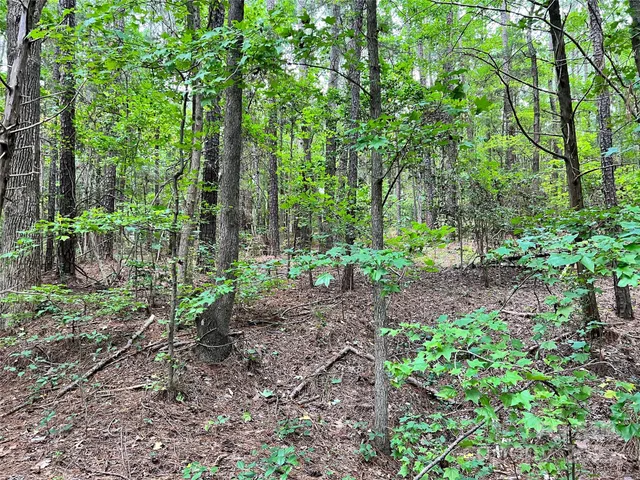 $157,000 | Lot 7 Highway 215, Unit SOUTH, Jenkinsville, SC 29065