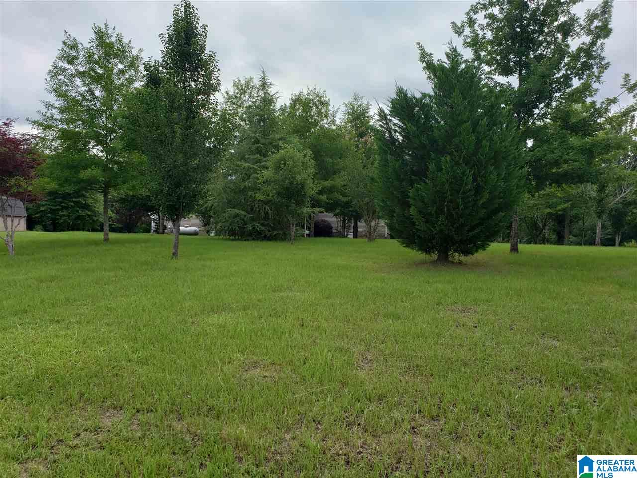 101 Whitney Circle Vincent, AL 35178 - Photo 30 of 31