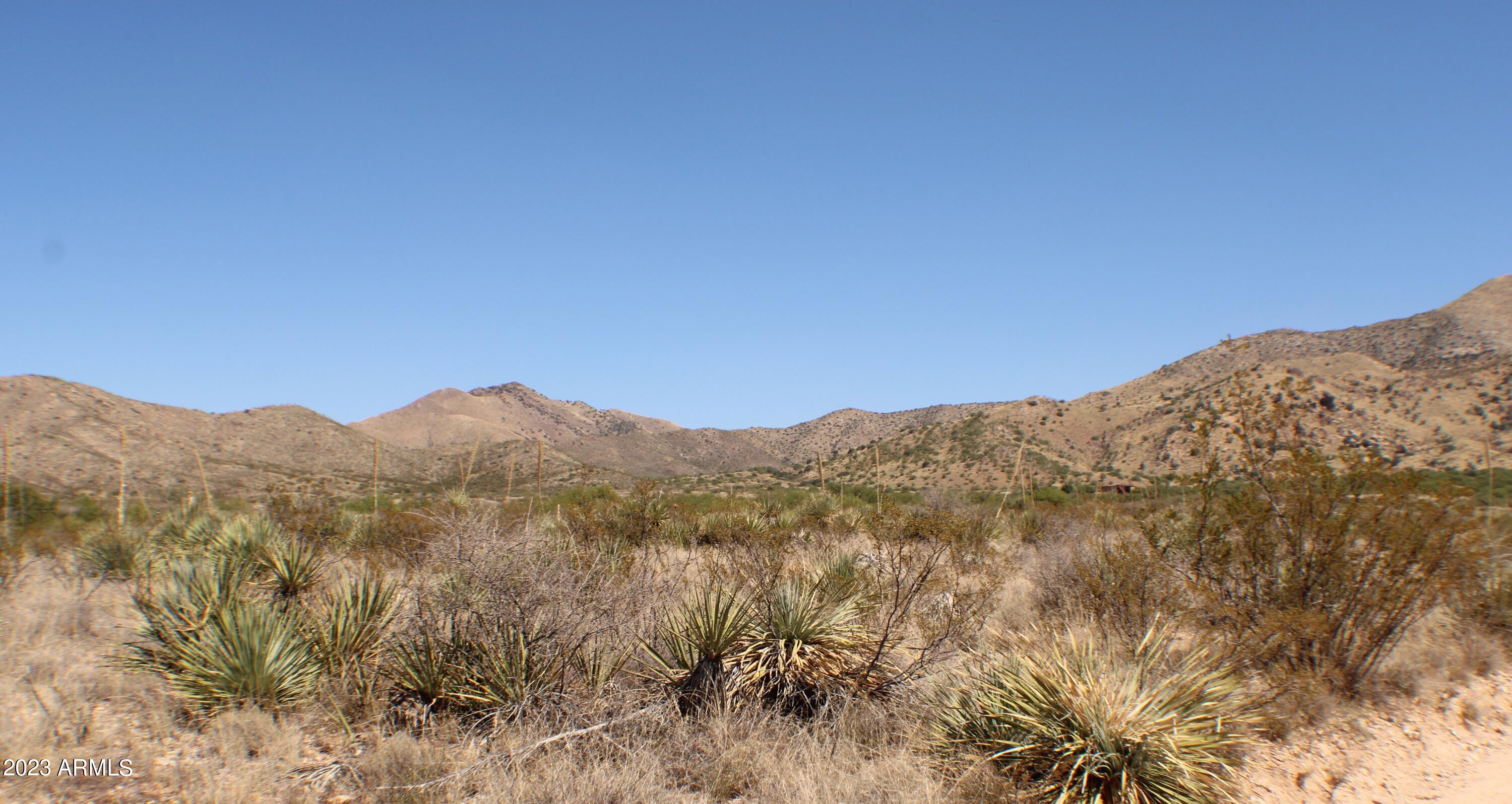 Lot 212 East Diamondback Road, Unit 212 St. David, AZ 85630 - Photo 4 of 24 IMG_1175