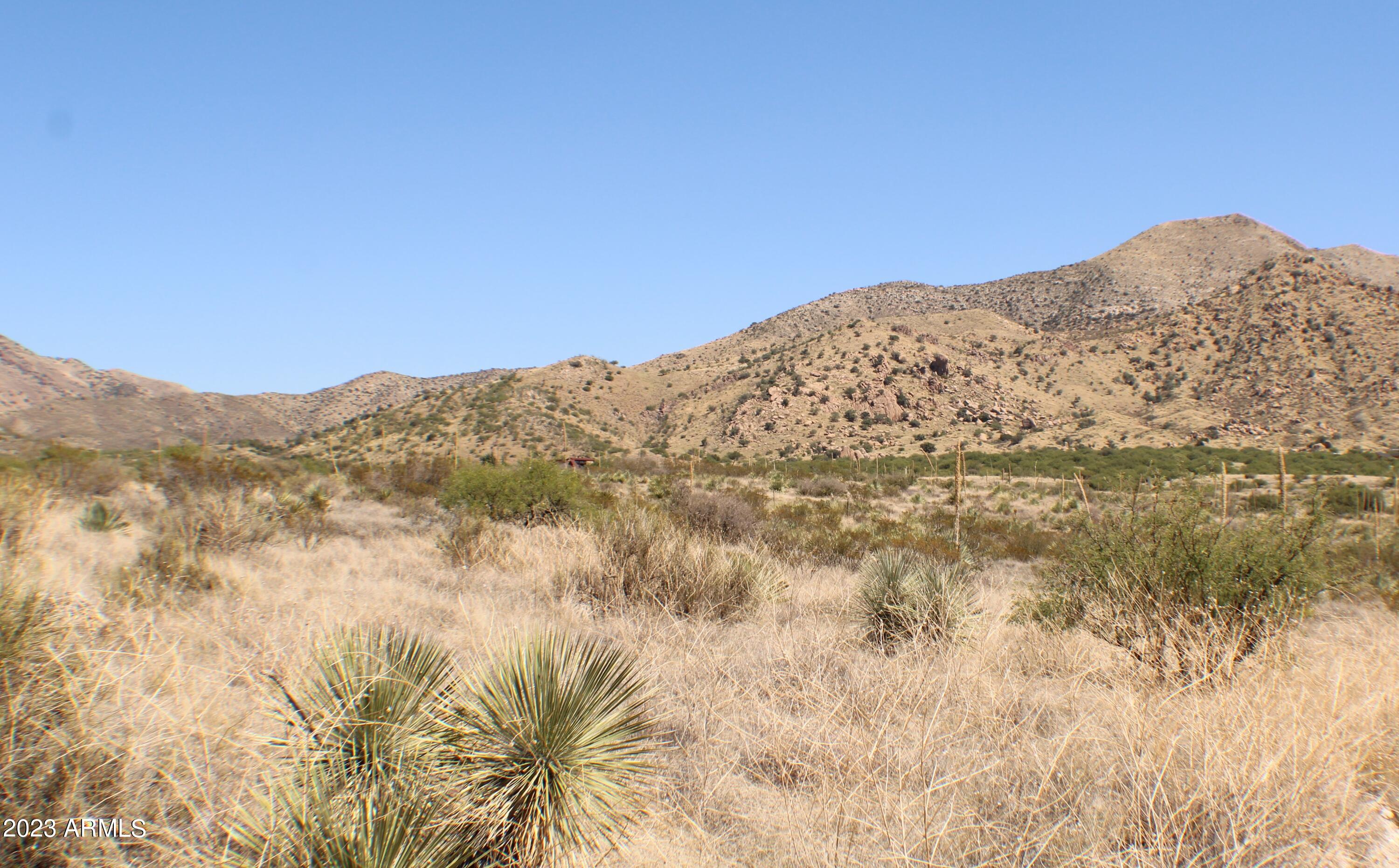 Lot 212 East Diamondback Road, Unit 212 St. David, AZ 85630 - Photo 6 of 24 IMG_1166