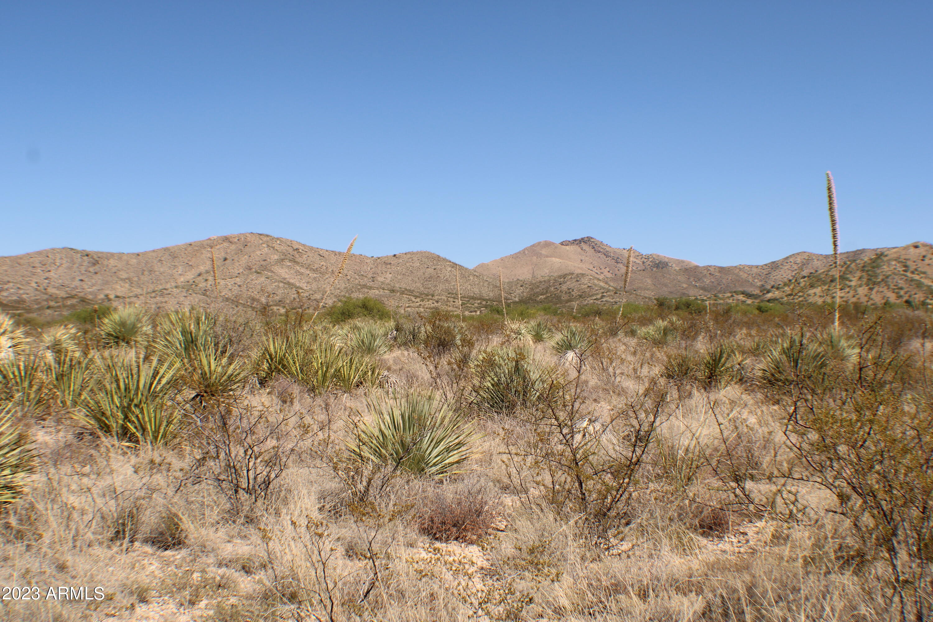 Lot 212 East Diamondback Road, Unit 212 St. David, AZ 85630 - Photo 10 of 24 IMG_1158