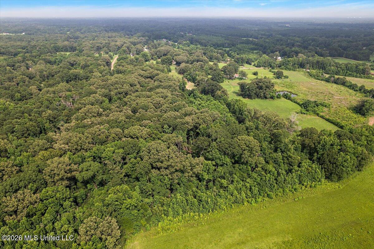 5049 Springridge Road Raymond, MS 39154 - Photo 45 of 50 45-iDJI_0138
