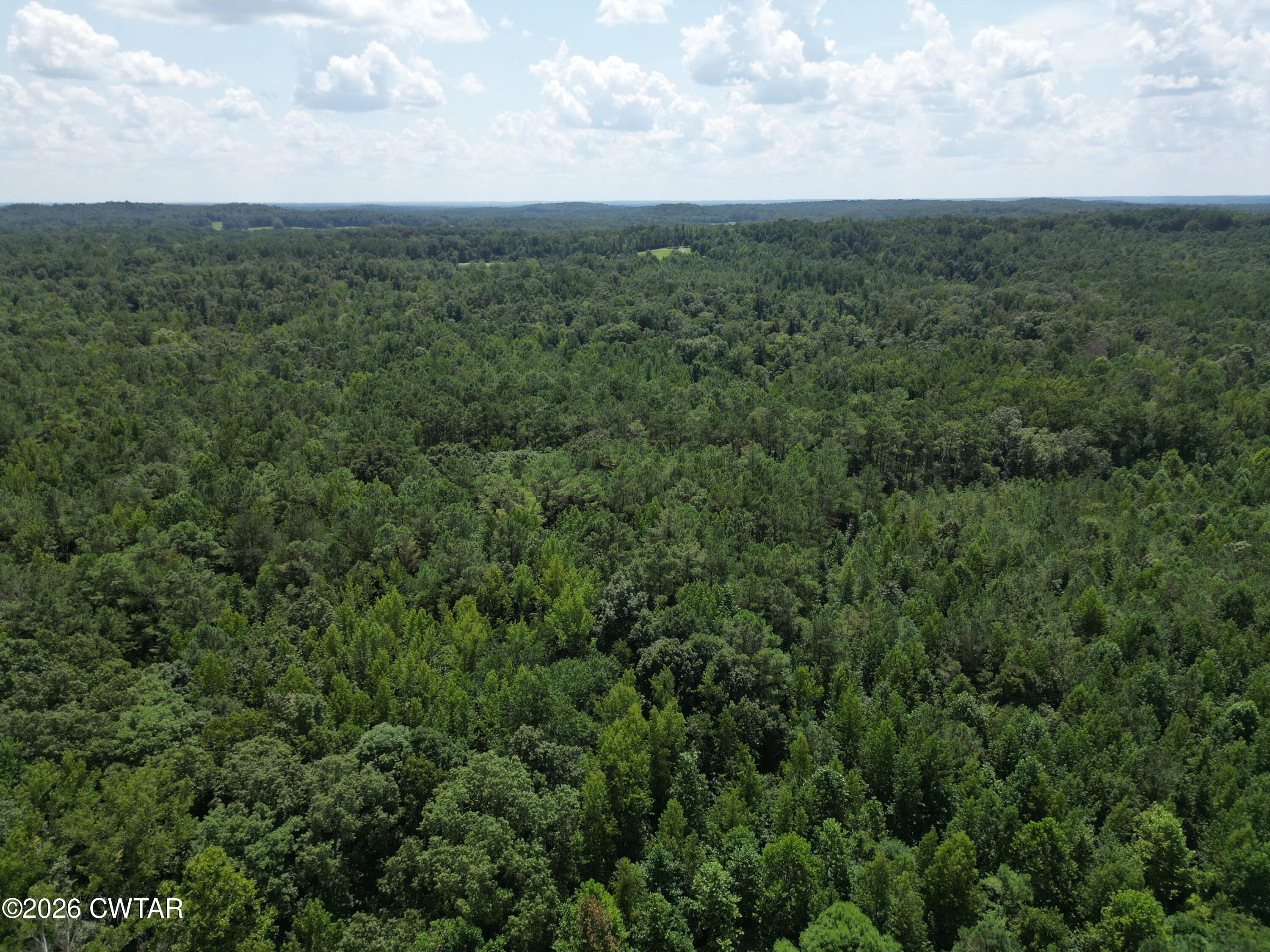 0 McAbee Road Jackson, TN 38301 - Photo 5 of 15 DJI_0628
