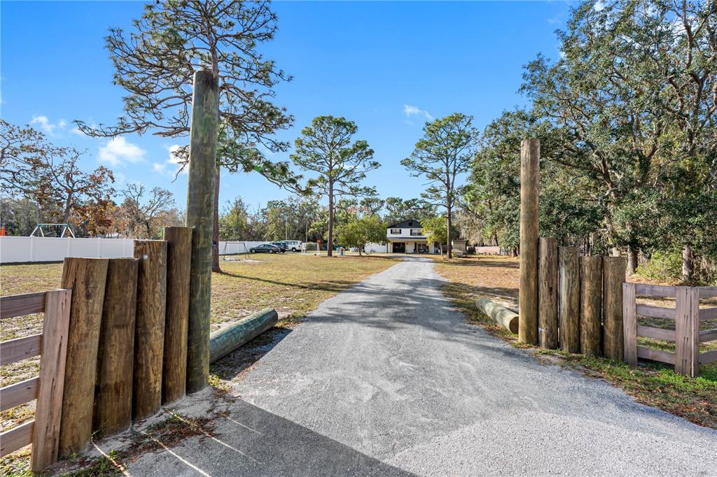 14450 Lancer Road Spring Hill, FL 34610 - Photo 3 of 46 a view of yard with tree