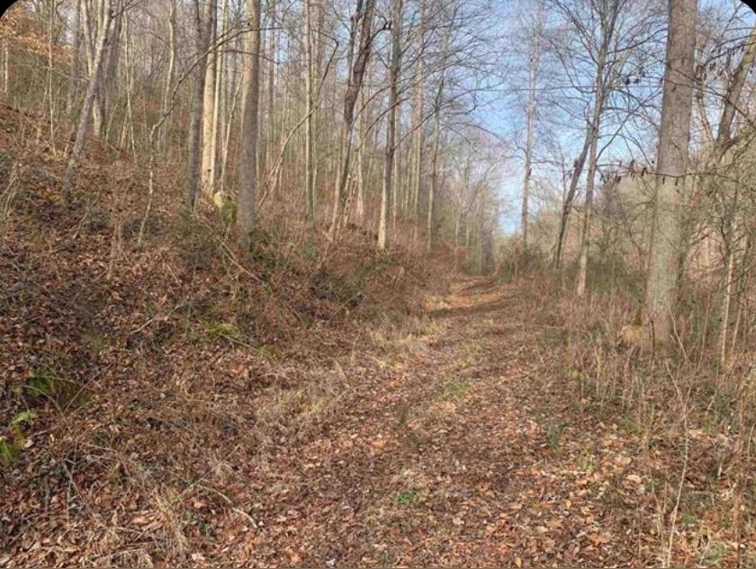 0 St Rt 784 Greenup, KY 41144 - Photo 2 of 2