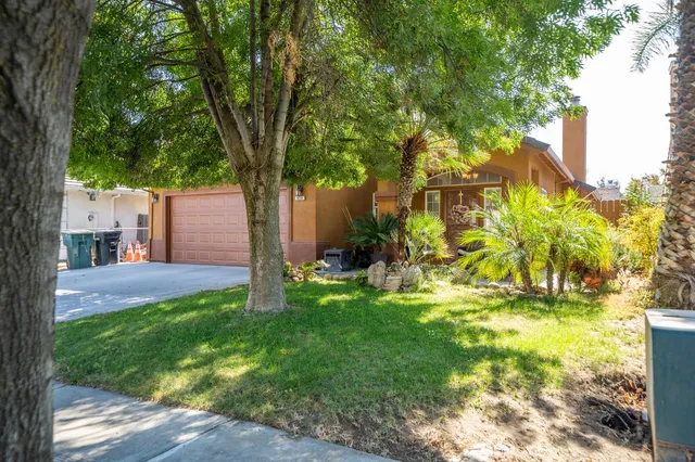 a backyard of a house with table and chairs plants and a large tree
