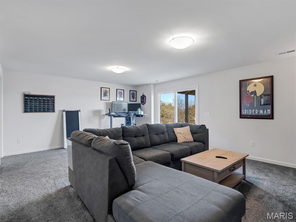 1833 Sunset Ridge Festus, MO 63028 - Photo 5 of 32