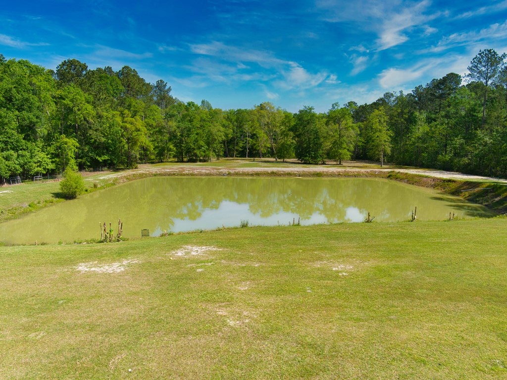 1113 Duncan Road Quitman, GA 31643 - Photo 10 of 40 Gallery Image 10