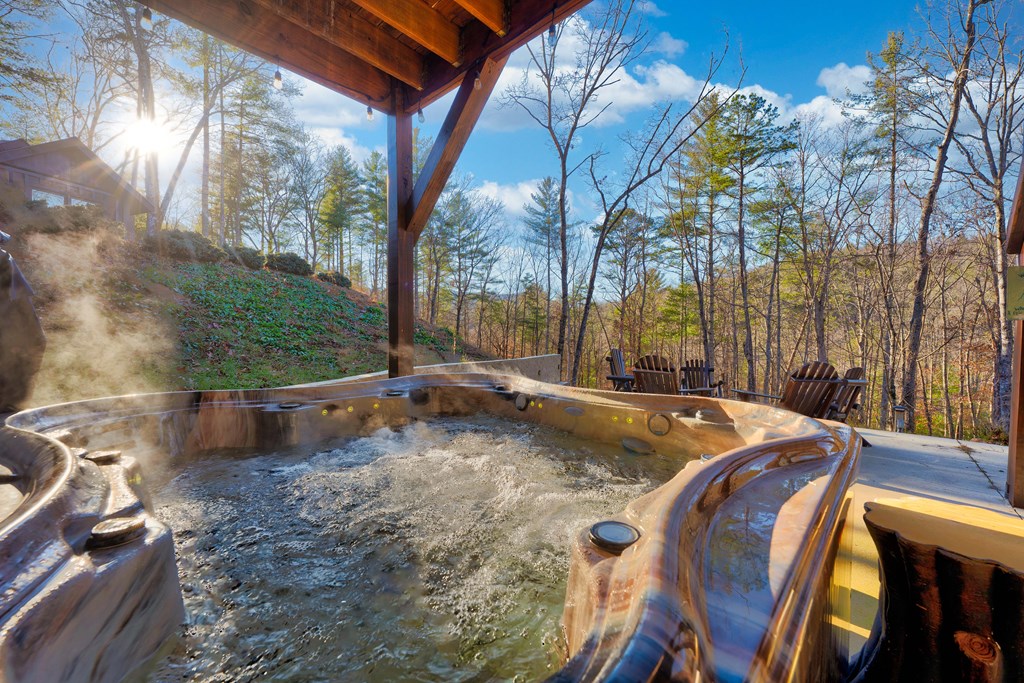 323 Stanley Creek Road Blue Ridge, GA 30513 - Photo 4 of 82 Gallery Image 4